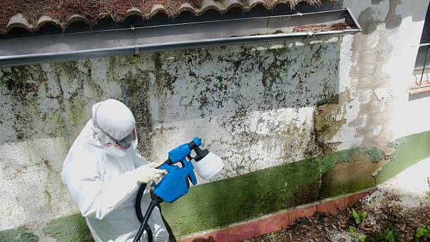 Trusted Mold Testing service in Glenwood, GA - Cheap Mold Removal